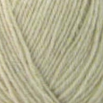 Wendy Aran with Wool, 100g, Biscuit (471)